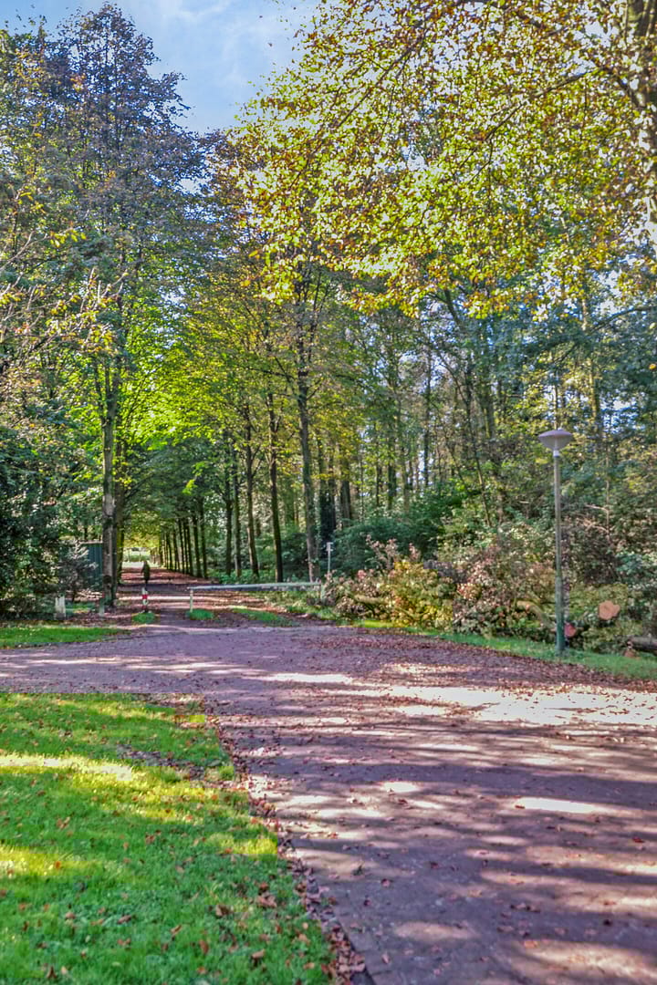 Foto 39 van Woutersstraat 11