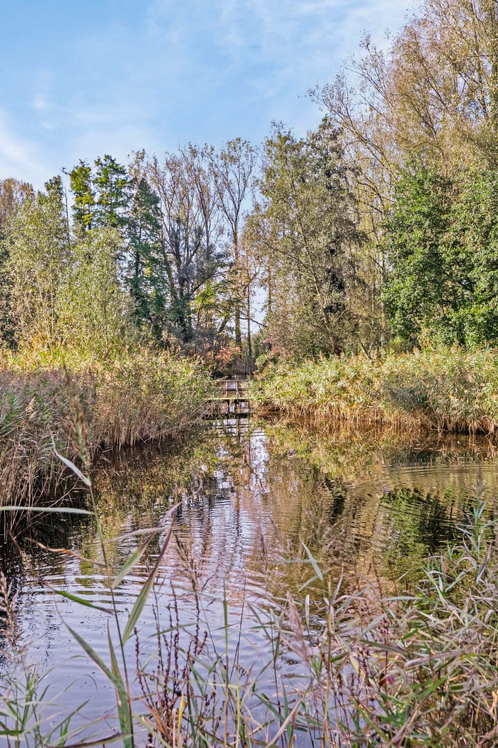 Foto 40 van Woutersstraat 11