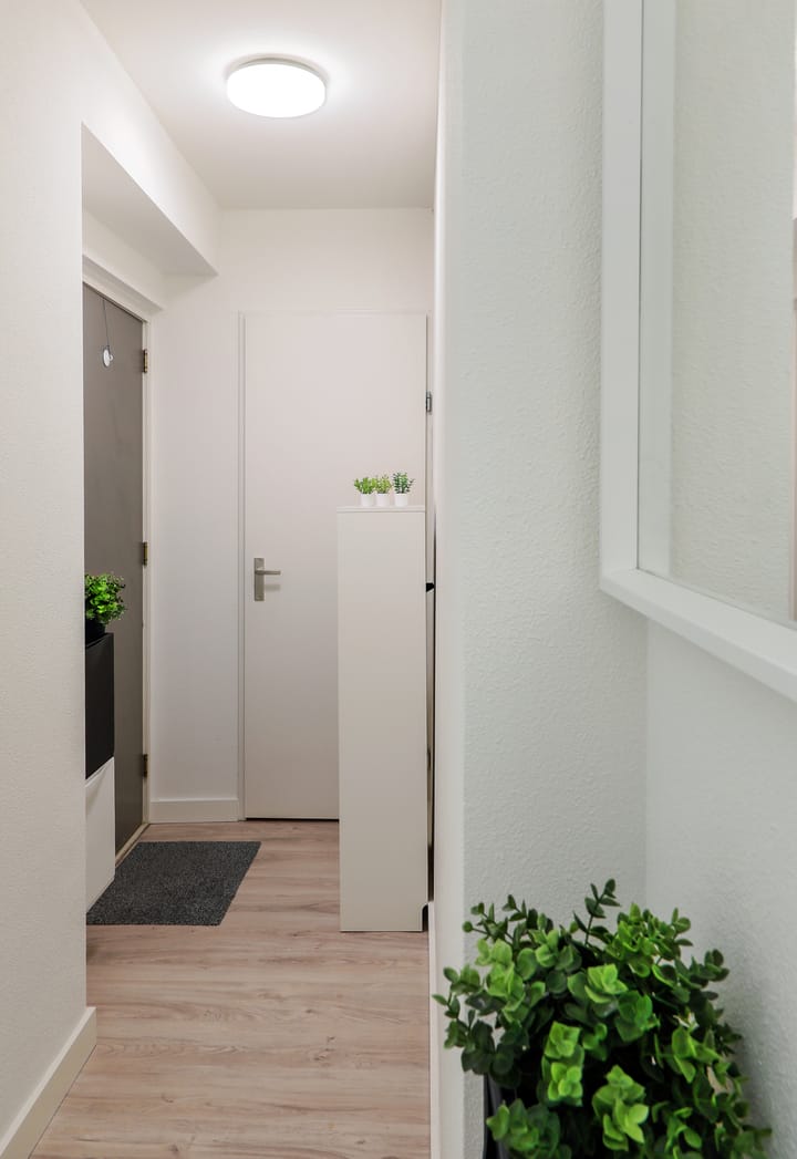 Foto 2 van Pastoor de Kroonstraat 289-E