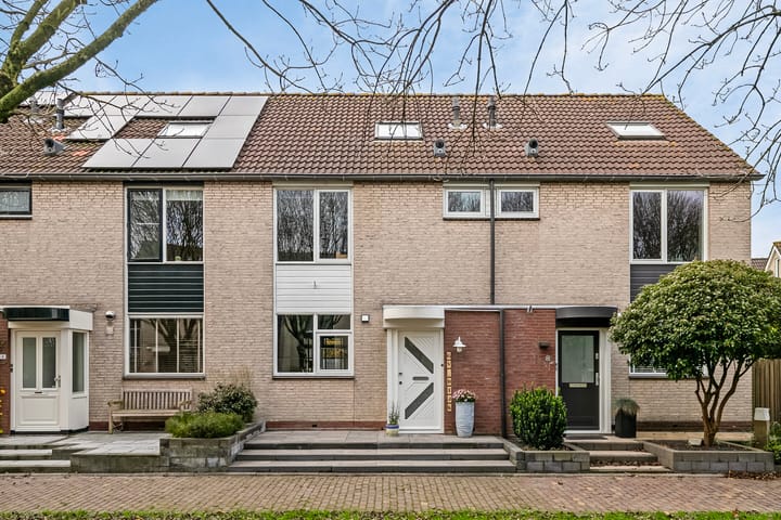 Foto 2 van Jacob Levecqpad 6