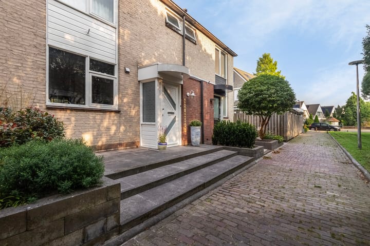 Foto 3 van Jacob Levecqpad 6