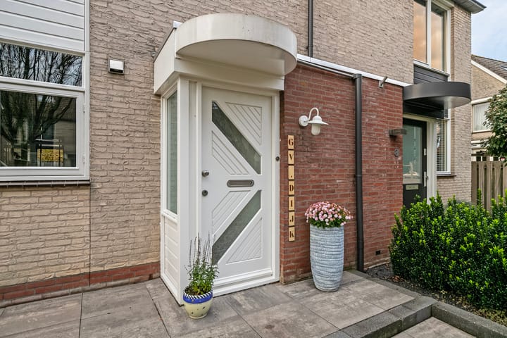 Foto 11 van Jacob Levecqpad 6