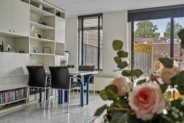 Foto 17 van Jacob Levecqpad 6