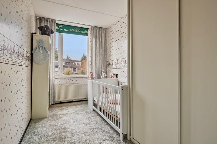 Foto 26 van Jacob Levecqpad 6