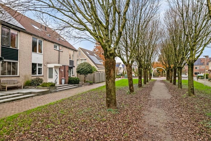 Foto 35 van Jacob Levecqpad 6