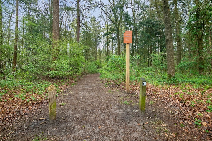 Bekijk foto 41 van Jipsingboertangerweg 67