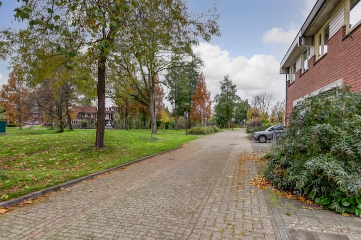 Foto 36 van Lemmingweide 2