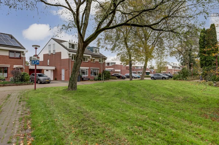 Foto 37 van Lemmingweide 2