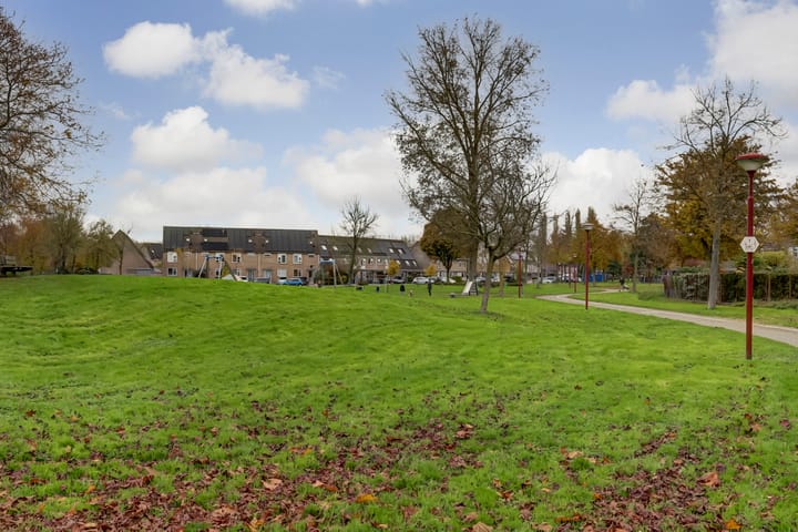 Foto 39 van Lemmingweide 2