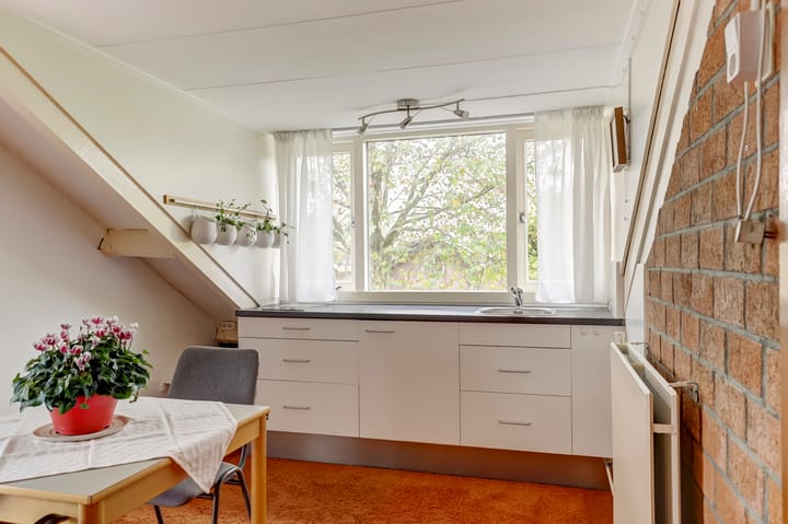 Foto 24 van Lemmingweide 2