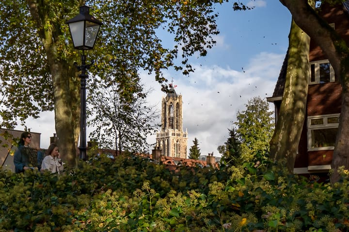 Foto 34 van Andreasstraat 41