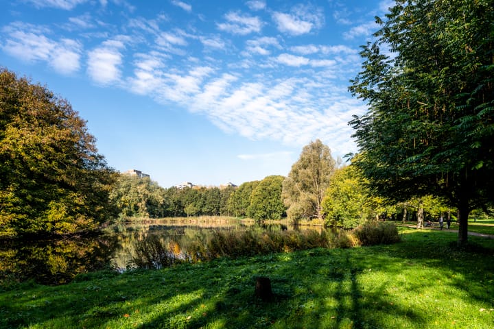 Foto 36 van Cabralstraat 20-3