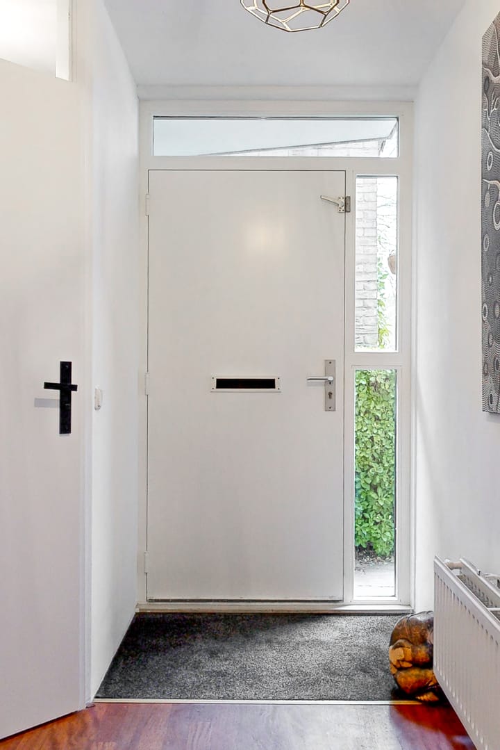 Foto 4 van Rivierforel 43