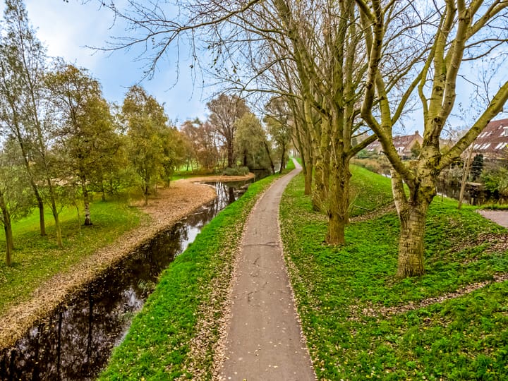 Foto 36 van Rivierforel 43