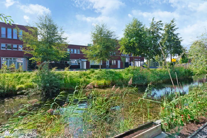 Foto 39 van Straat van Gibraltar 46