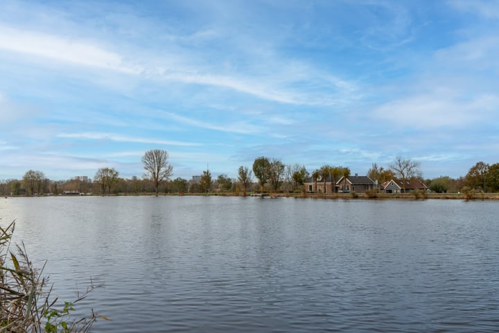 Bekijk foto 10 van Amsteldijk Noord 137