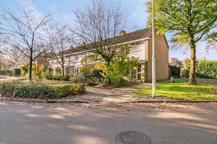 Foto 1 van Boerhaavelaan 87