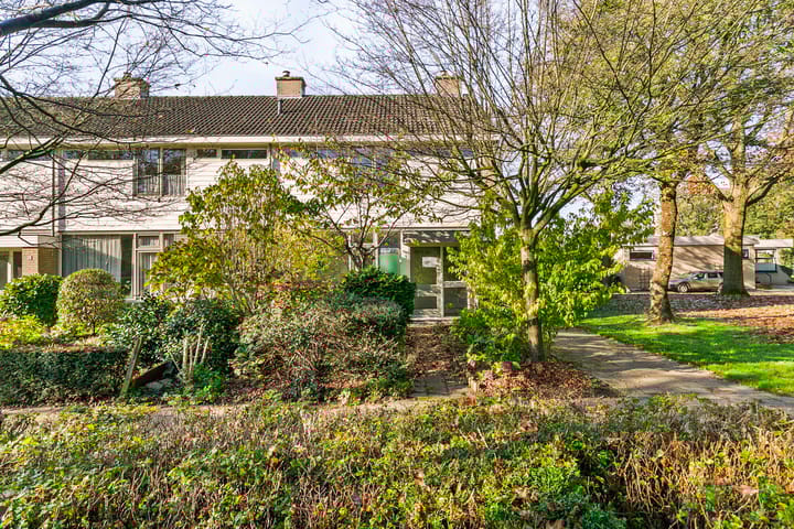 Foto 5 van Boerhaavelaan 87