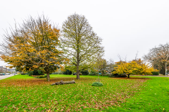 Photo 35 of Laan van Cattenbroeck 38