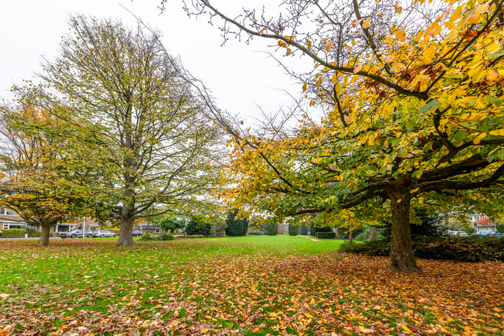 Photo 36 of Laan van Cattenbroeck 38