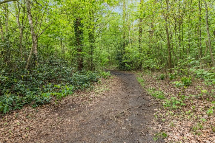 Foto 56 van Prinses Irenelaan 7