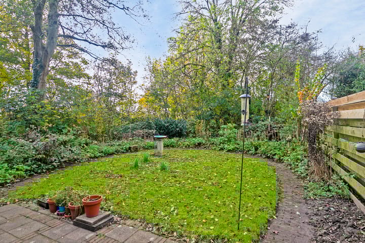 Foto 22 van Pinksterbloem 23