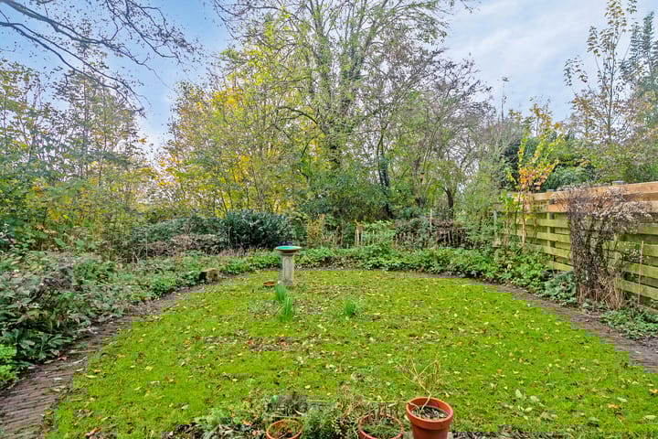 Foto 23 van Pinksterbloem 23