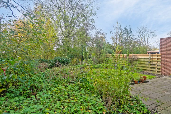 Foto 24 van Pinksterbloem 23