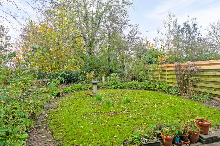 Foto 25 van Pinksterbloem 23