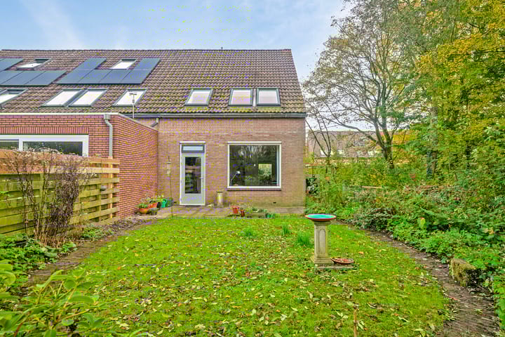 Foto 26 van Pinksterbloem 23