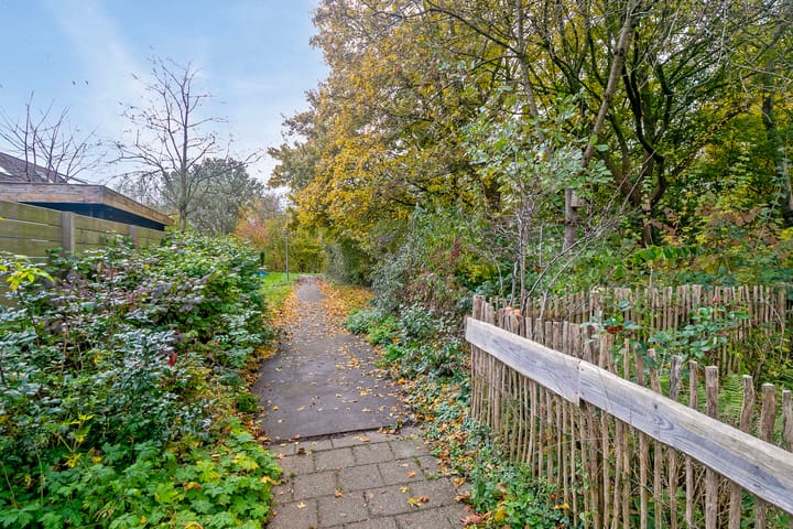 Foto 29 van Pinksterbloem 23