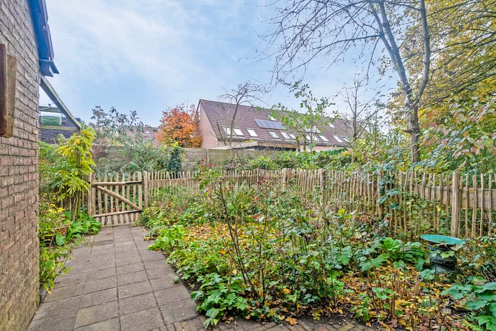 Foto 30 van Pinksterbloem 23