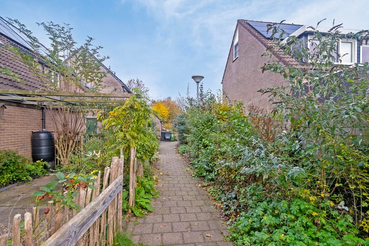 Foto 31 van Pinksterbloem 23