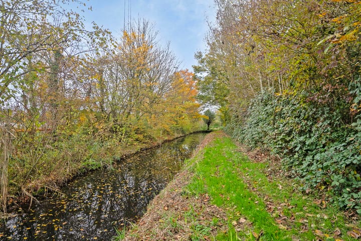 Foto 32 van Pinksterbloem 23