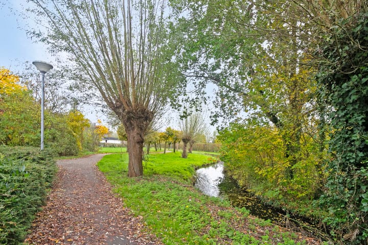 Foto 33 van Pinksterbloem 23