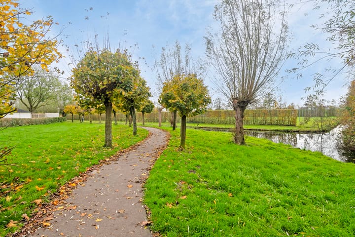 Foto 34 van Pinksterbloem 23