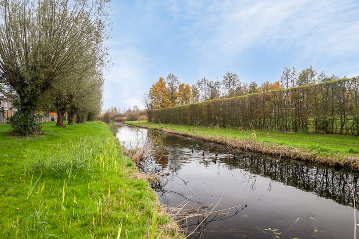 Foto 35 van Pinksterbloem 23