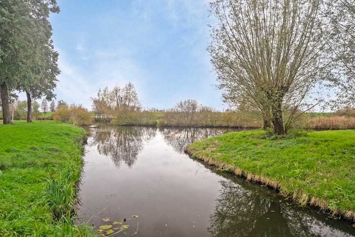 Foto 36 van Pinksterbloem 23