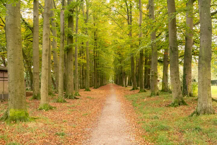 Foto 48 van Julianastraat 22