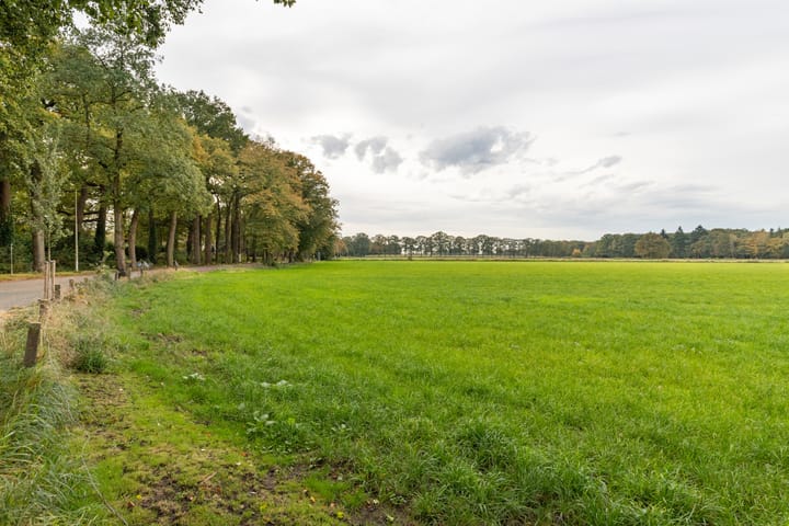 Foto 50 van Julianastraat 22