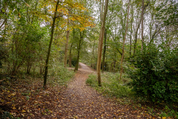 Bekijk foto 45 van Steurendaal 42