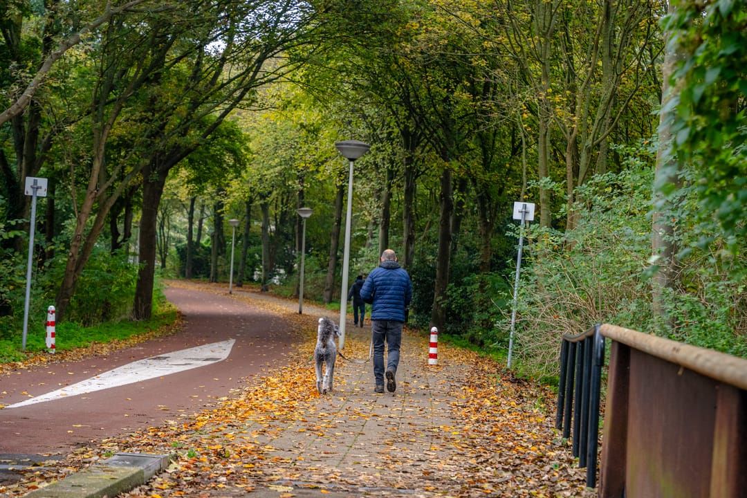 Foto 46 van Steurendaal 42