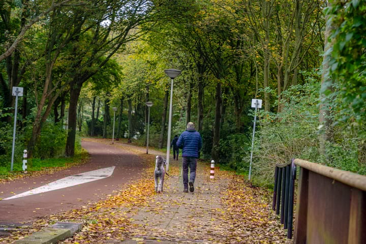 Foto 46 van Steurendaal 42