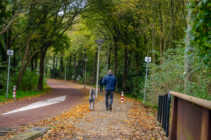 Bekijk foto 46 van Steurendaal 42