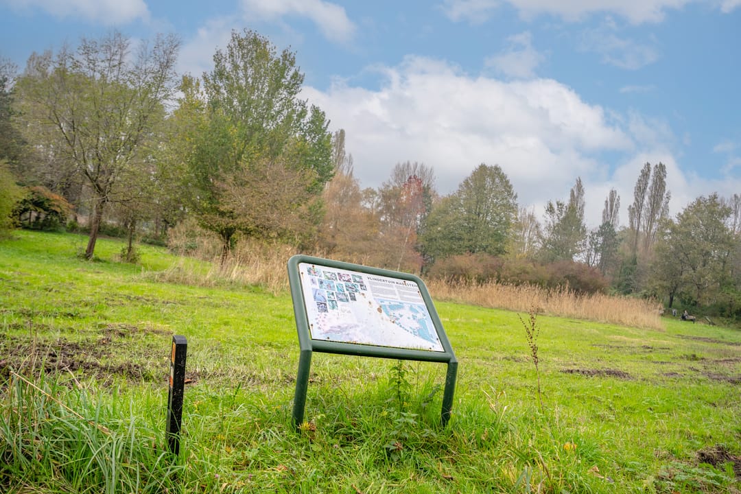 Foto 47 van Steurendaal 42