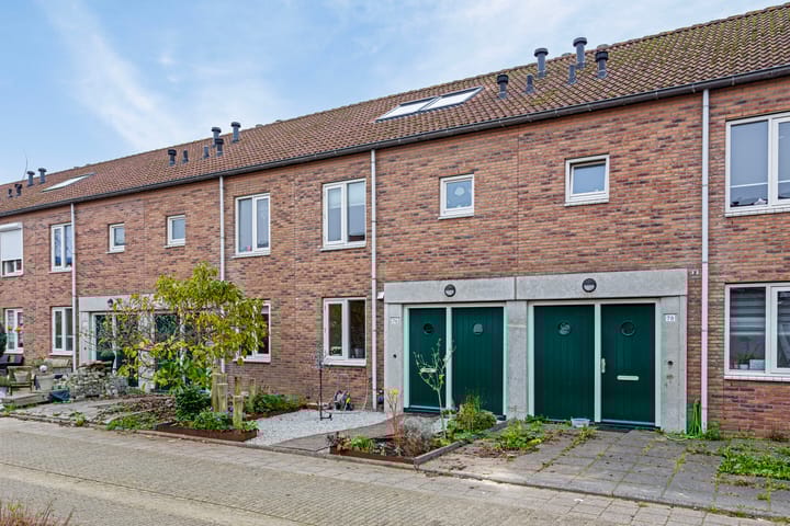 Foto 1 van Schijfmos 76