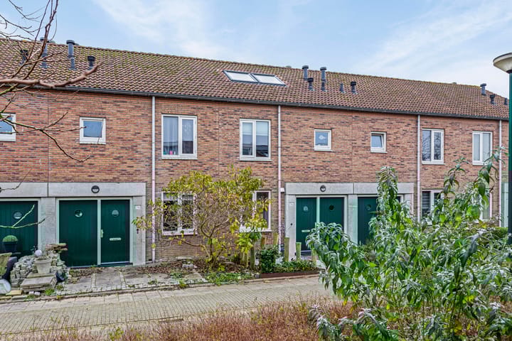 Foto 2 van Schijfmos 76