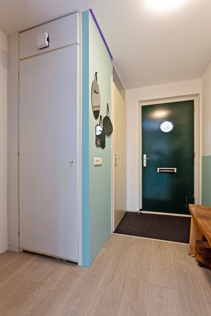 Foto 3 van Schijfmos 76