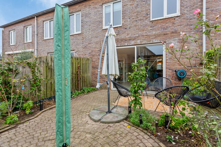 Foto 12 van Schijfmos 76