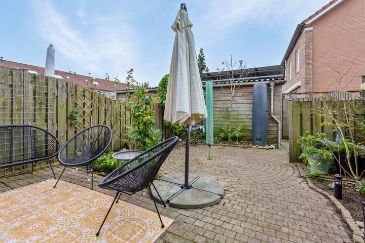 Foto 15 van Schijfmos 76